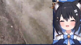 [Hoshina Suzu] I've already said that I'm a Chinese rural cat from Japan