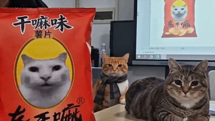 Why are the flavored potato chips not selling? Help Little Mi!