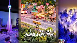 来看「小加拿大迷你世界」‼️