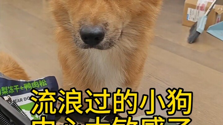 Saat pindah rumah, jangan lupa pindahkan si kecil dulu!