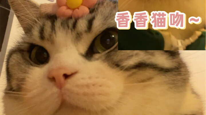 Tâm tư thật sự của bạn trai khi nhận lỗi