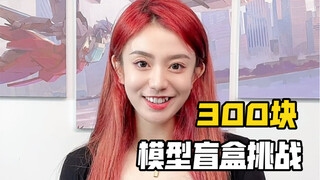300块模型盲盒挑战-好像是良心了 又好像没有！