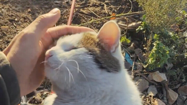 لم أصطد الكثير من السمك، لكنني كسبت عدة أصدقاء.