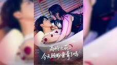 高岭之花今天顾盼垂青了吗? Is The Flower of Gaoling Looking at You Today?