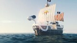 Phong cách hiện thực tự chế của người hâm mộ biển hải ngoại Vua Hải Tặc "Chương Biển Đông" Hoạt hình
