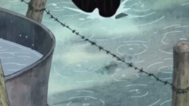 luffy kena bogem