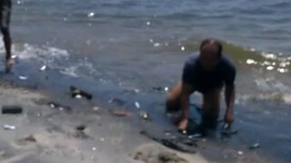 Ratusan Ikan Terdampar kepinggir Pantai di Muara Angke