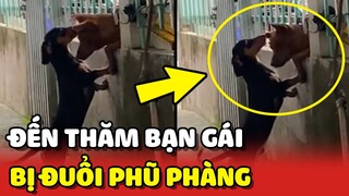 ĐẮNG LÒNG chàng chó đến THĂM BẠN GÁI nhưng bị ĐUỔI VỀ phũ phàng 😂 | Yêu Lu