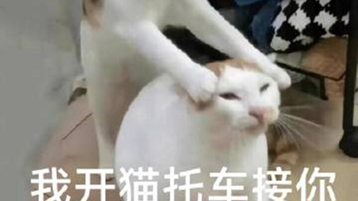 เครื่องจักรเคลื่อนที่ถาวรแบบใหม่