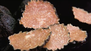 Truffle terbesar di dunia dengan berat sekitar 2 kg dijual seharga 430.000 RMB? Mengapa "truffle" be