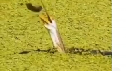 This scene cracks me up every time I watch it.