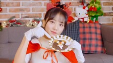 คำบรรยายภาษาจีน VLOG ของ JISOO - Christmas Vlog