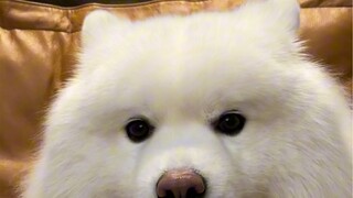 ضربتني أمي مرة أخرى، ولم أحصل على العشاء بعد، محبط