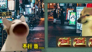 cheems bunny is so cute