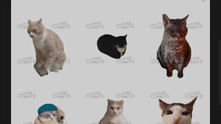 Meme猫猫大全表情包 (点赞50出教程