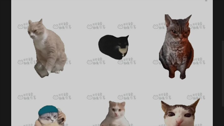 Meme猫猫大全表情包 (点赞50出教程