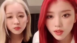 【Shen Xiaoting x Ezaki Hikaru】Xiaoting: Bahasa Mandarin yang kubicarakan dia tidak mengerti. Xiaogua