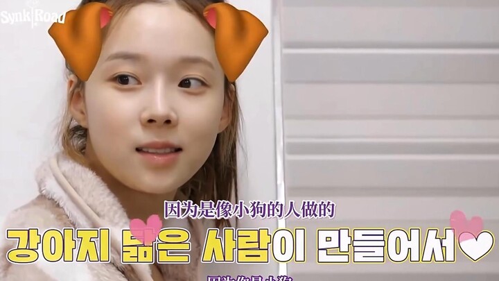 Jiji: Aku lebih suka anjing daripada kamu—bagian ini terlalu menggemaskan, harus ditonton berulang-u