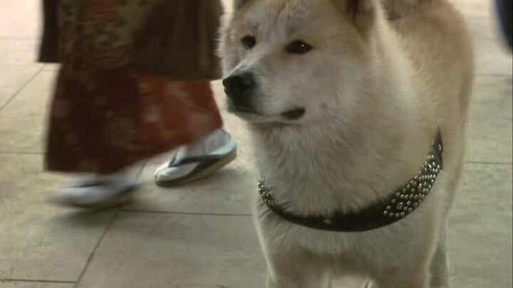[FILMAPIK.CO]_-_Hachi-ko