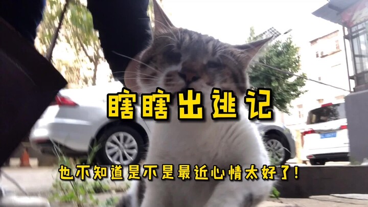 The follow-up with Xiaoxia: Xiaoxia isn’t just a warm-hearted guy—he’s also a chubby hero with a wil