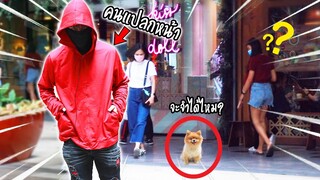 ทิ้งไว้กลางห้าง?! ลูกๆจะจำผมได้ไหมถ้าผมปลอมเป็นคนแปลกหน้า l ก็ผมมีลูกเป็นหมา EP.138