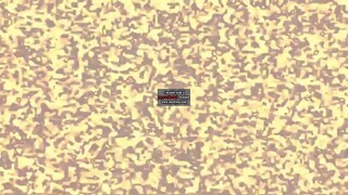 My Edited Video