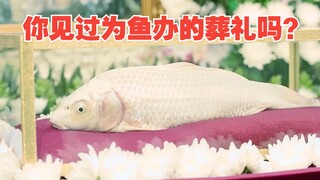 Tập đoàn tài phiệt Hàn Quốc giàu có đến mức nào mà sẵn sàng tổ chức tang lễ cho một con cá? Xem hết 
