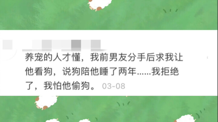 毛孩子抚养权争夺战丨“它自愿跟我走的呀，自愿的事怎么能叫偷呢”