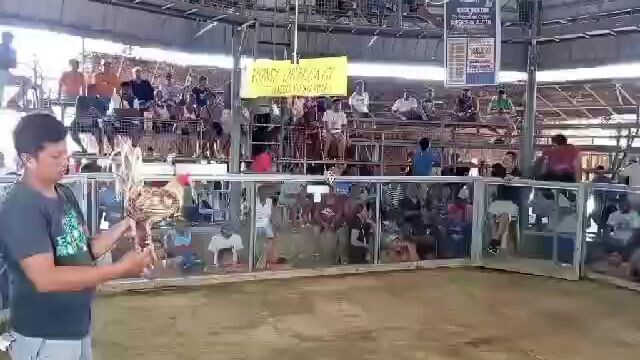 napasubo sa kalaban😂 (win) walang sugat😆