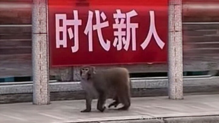 Over a Century: “4 Old Objects That Have Vanished” ❗️ Sick but Makes Sense? The Second One Is Seriou