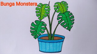 Cara menggambar bunga monstera || Cara menggambar dan mewarnai bunga yang mudah