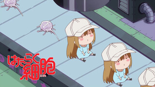 [Anime tự chế] Khi các tế bào làm việc - Dây chuyền sản xuất Platelet