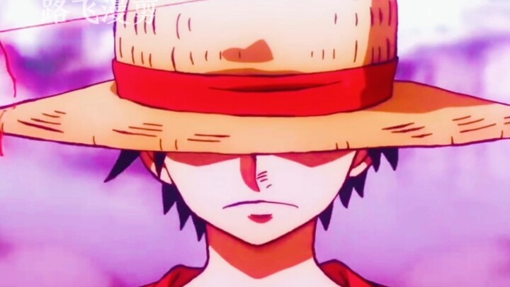 Băng Mũ Rơm bị chế giễu trên đảo Ngư Nhân, Luffy dùng Bá Vương Sắc để phô diễn thực lực...