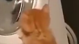 “小小监督者”