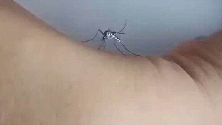 Unbowed and unyielding