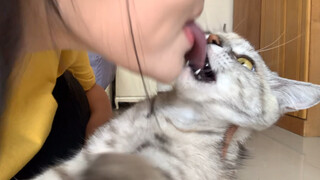 Thú cưng đáng yêu|Nữ chủ nhân dùng lưỡi giả liếm 5 chú mèo con