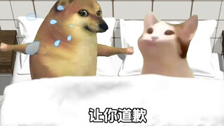 Khi bạn trai hỏi tại sao bạn lại tức giận