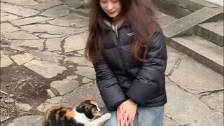 Meow: Aku sebenarnya tidak ingin terlalu menempel padamu