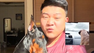 粉色娇嫩 最讨人喜欢