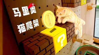 给猫做了个能顶能踩的4d马里奥猫爬架！
