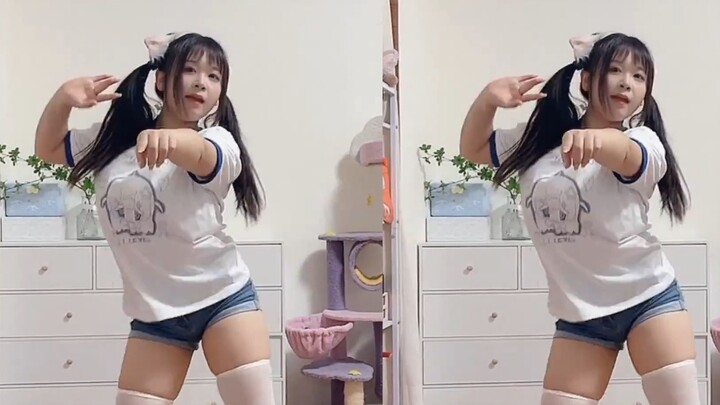 [小龙女]rolypoly