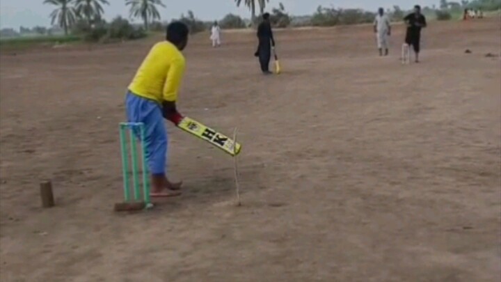 village cricket