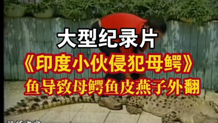 Documentary: Indian Man Forcefully Assaults a Female Crocodile, Causing Her Cloaca to Evert