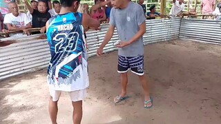 golden bulik win kalaban quality