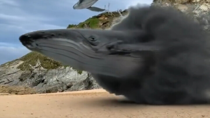 “Những điều thú vị nên được chia sẻ với những người chân thành, không hời hợt.”