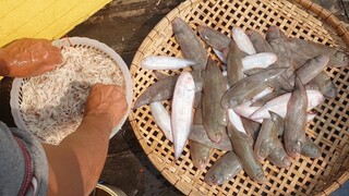 CƠM GHE • Ruốc Nấu Canh Bầu, Cá Lưỡi Trâu Kho Tiêu | Ngư Dân Miền Tây