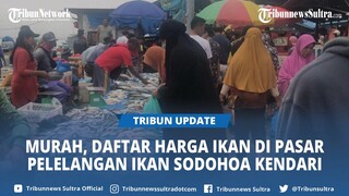 Daftar Harga Ikan di Pasar Pelelangan Ikan Sodohoa Kendari Sulawesi Tenggara
