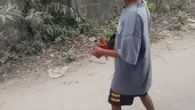 win quality bonsi 1win