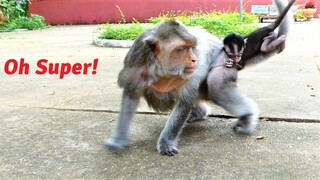 Ah Old But Sweet Mommy!, Mother Monkey With Big Mask Lifts Baby Bean With Lovely Action