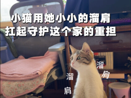 The little cat, with her tiny sloping shoulders, shoulders the heavy responsibility of protecting th